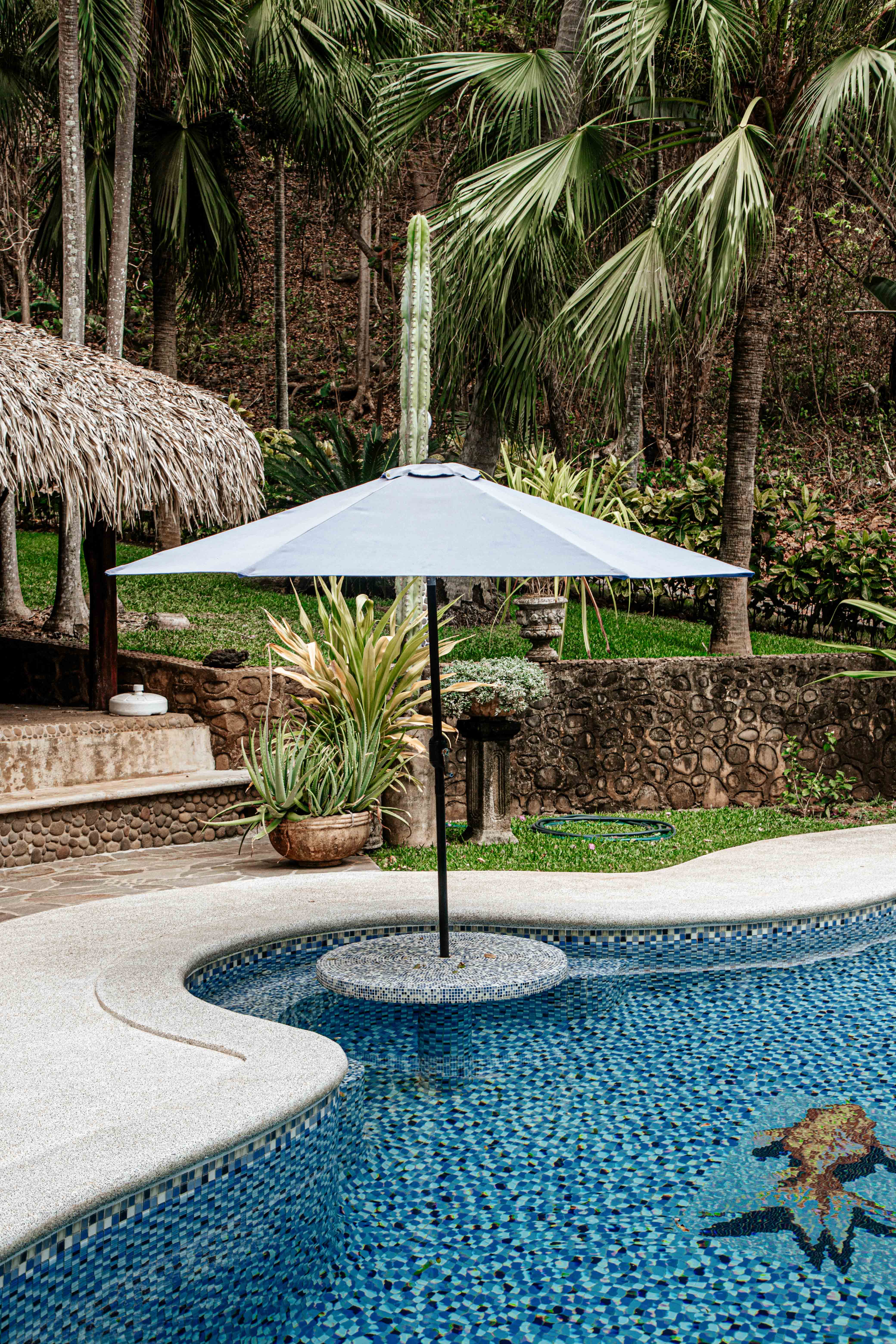 Pool and palapa lounge area